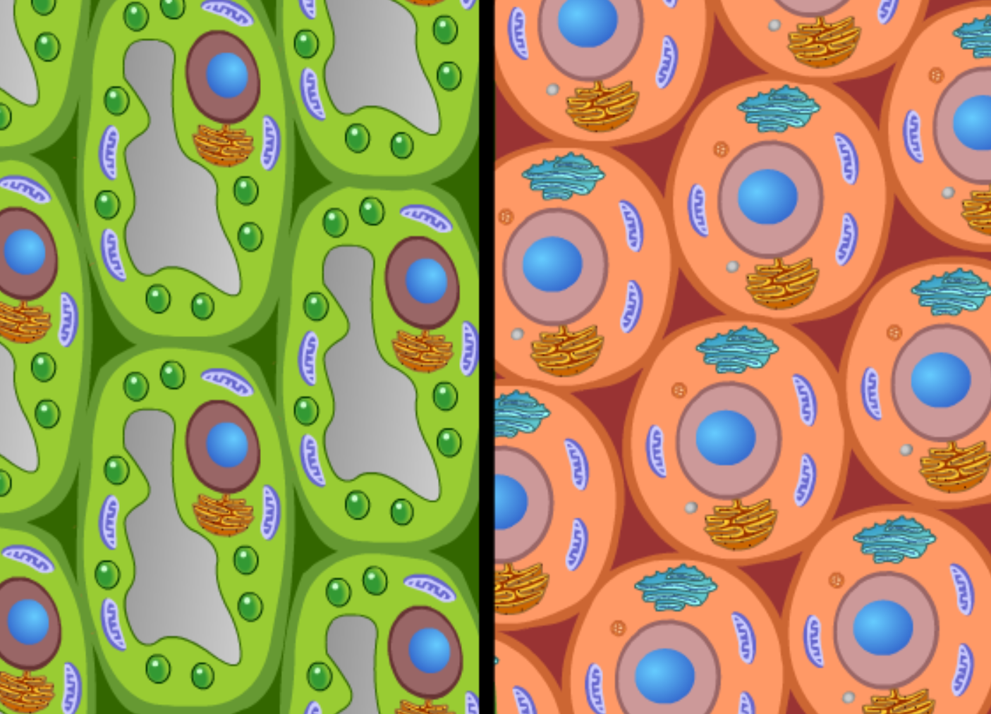 Cell Specialization