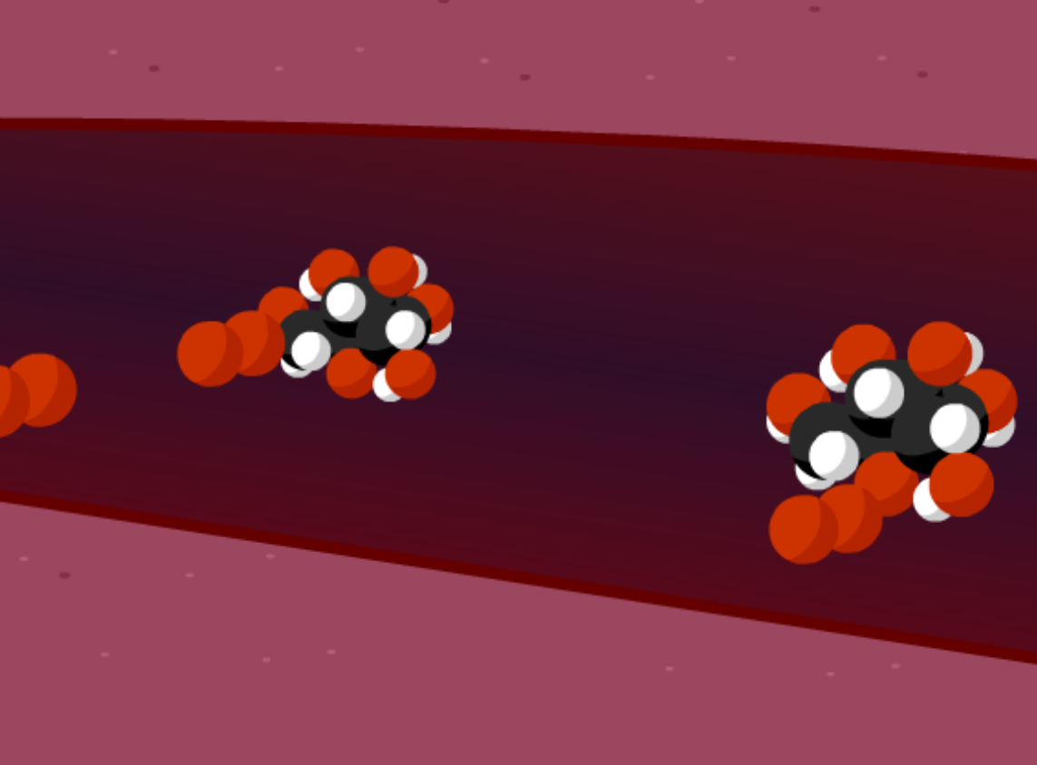 Cellular Respiration 