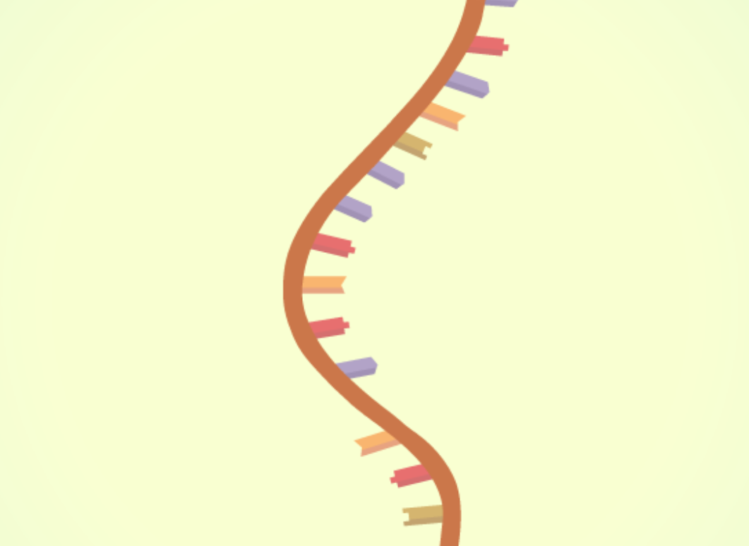 RNA